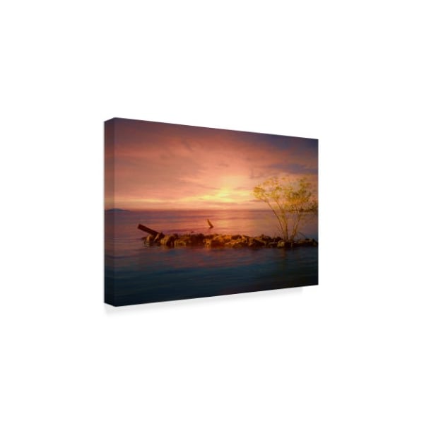 Anthony Paladino 'Sunset Over Rocky Jetty' Canvas Art,22x32